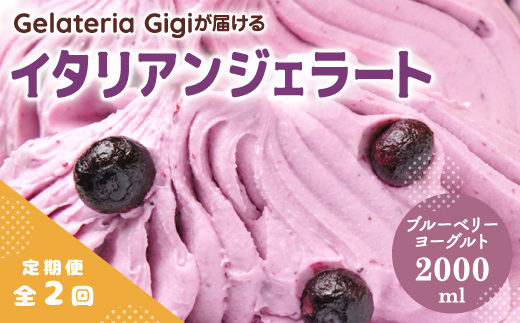 【定期便：全2回】ジェラテリアGigiのイタリアンジェラート『ブルーベリーヨーグルト』2000ml【43005701】