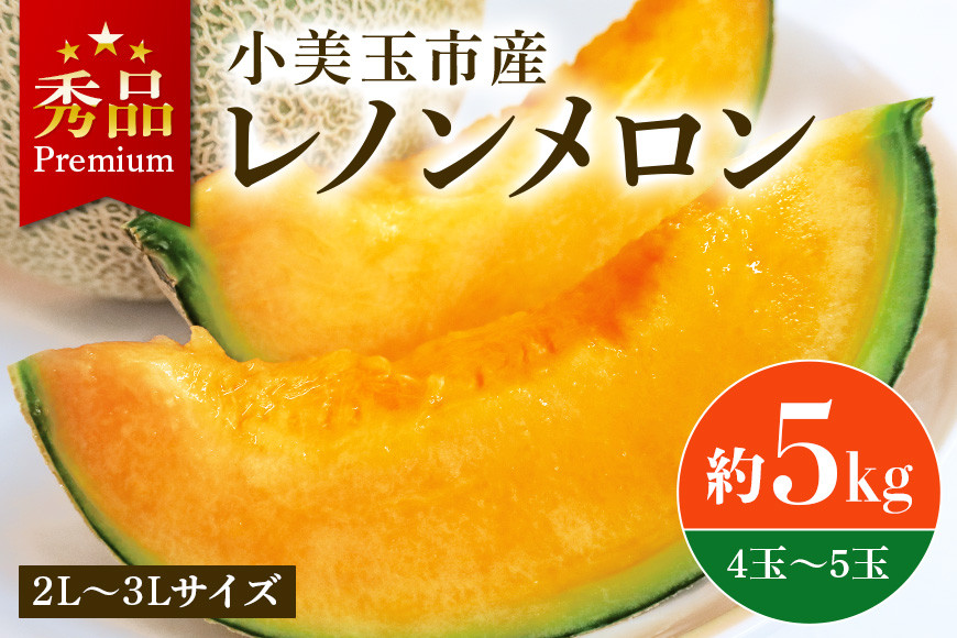 
                  【数量限定・2026年先行予約】 おみたまレノンメロン 赤肉 約5kg 4玉～5玉 秀品 メロン 赤肉メロン 高級 品種 果物 くだもの フルーツ ギフト 贈り物 贈答用 お中元 お祝い 内祝い 誕生日 記念日 プレゼント 父の日 母の日 デザート お見舞い お供え 国産 茨城 小美玉 【7月11日まで受付・6月以降順次発送予定】 52-A
                