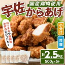 【ふるさと納税】サクッとジューシー宇佐から揚げセット(計2.5kg・500g×5P)唐揚げ から揚げ 簡単 冷凍 惣菜 お弁当 おかず おつまみ 揚げるだけ セット【102000700】【サンセイ　安心院ソーセージ】