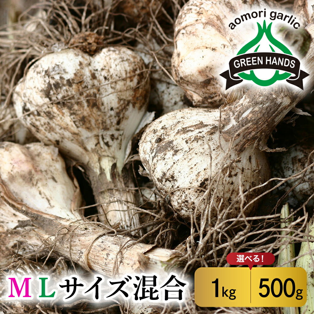 【ふるさと納税】【2025年6月下旬発送開始】掘りたて 生 にんにく 青森県産 ML サイズ混合1kg（土つき）【 ガーリック ニンニク 大蒜 五所川原 生にんにく 生ニンニク 】 先行予約