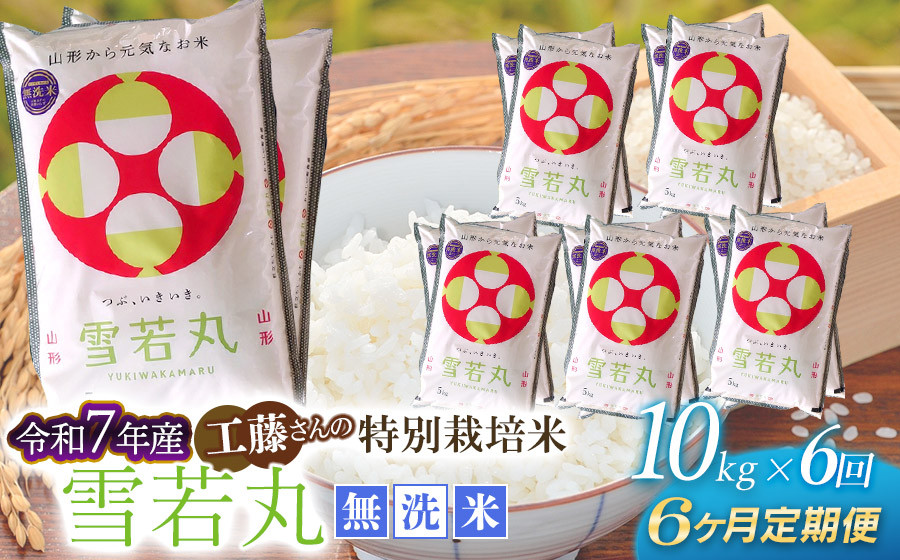 
            【令和7年産先行予約】【6ヶ月定期便】工藤さんの特別栽培米 雪若丸無洗米 10kg（5kg×2袋）×6回（計60kg） 山形県鶴岡市　株式会社サンエイファーム
          