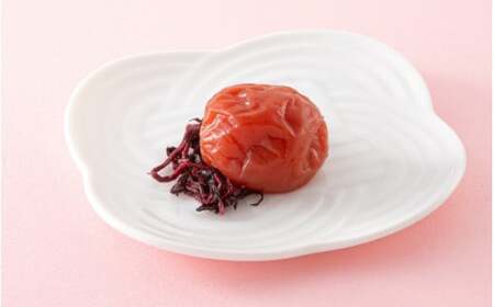 紀州南高梅　しそ梅（塩分13%）　500g  / 田辺市 紀州南高梅 南高梅 梅干し 梅干 梅  肉厚 お米 おにぎり 焼酎 梅酒 健康 【ske024】