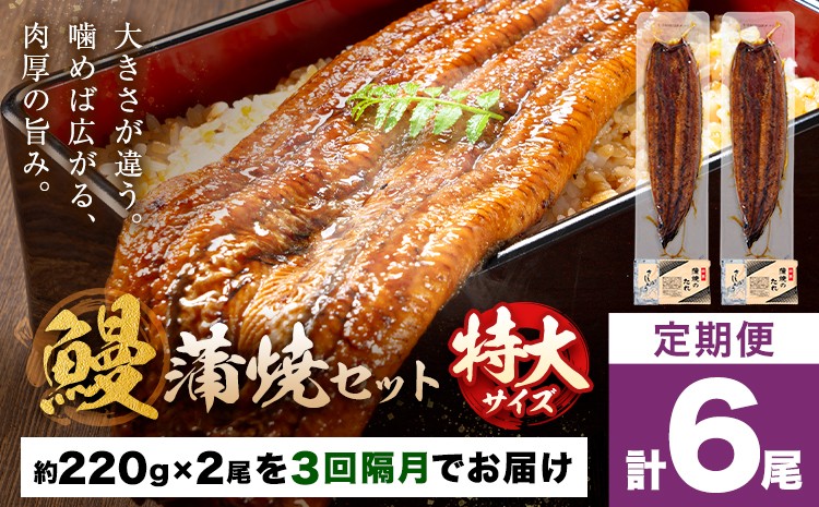 
                  【隔月定期便全3回】＼特大サイズ／ 鹿児島県産 鰻蒲焼真空セット！2尾  タレ・山椒付！ 株式会社薩摩川内鰻 《お申込みの翌月出荷》  鹿児島県 さつま町 送料無料 ウナギ 丑の日 うなぎ 刻み グルメ 特大 鰻 蒲焼 真空
                