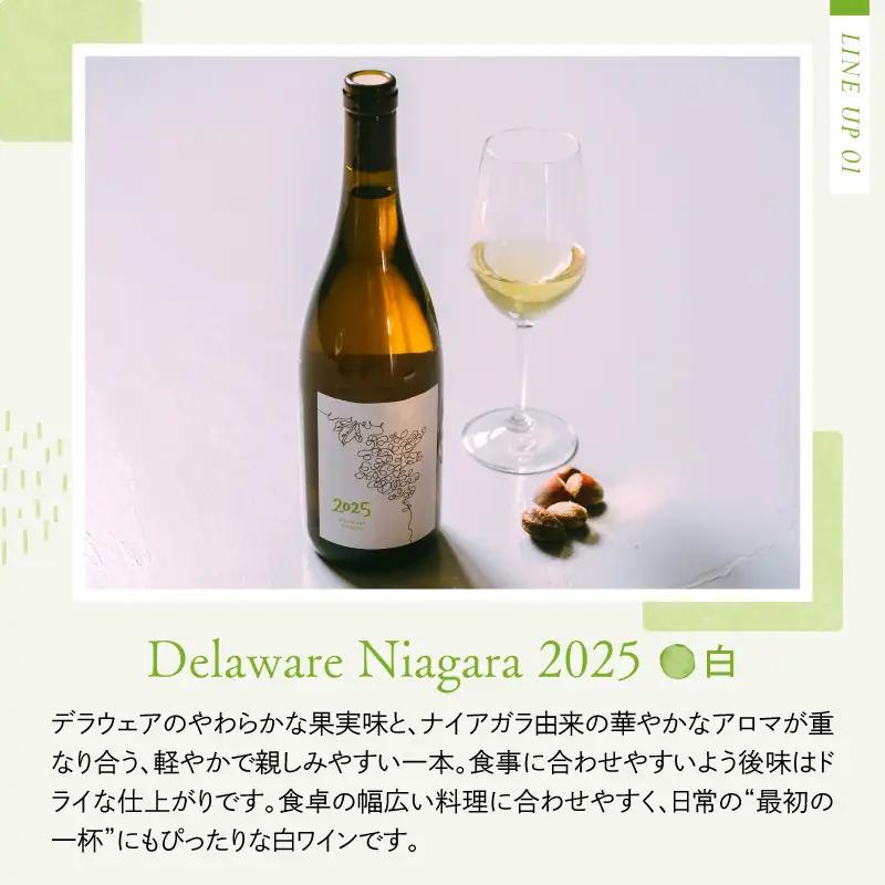 ワイン 2025 オレンジ白 2本飲み比べセット 各750ml ワイン