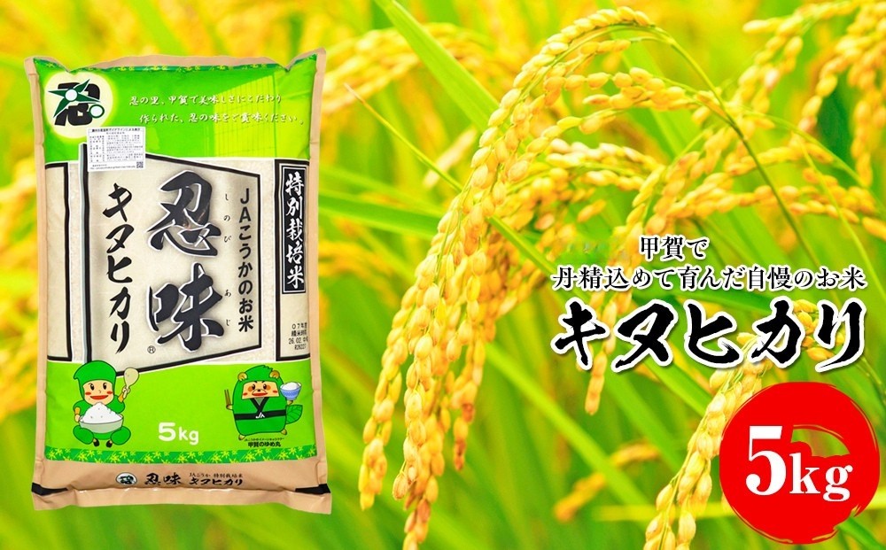 
                  キヌヒカリ 5kg 甲賀で丹精込めて育んだ自慢のお米
                
