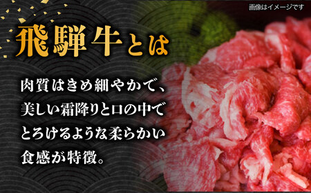【1月発送】【飛騨牛】 切り落とし 1kg 和牛 ブランド牛 国産 牛肉 多治見市 / 渡辺精肉店 [TAZ005-1]