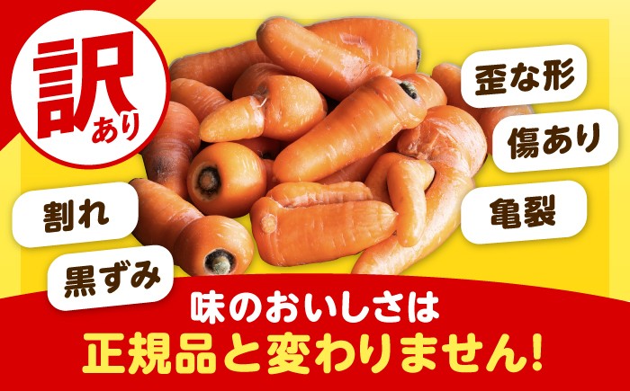 北海道産 甘い 人参 野菜 根菜 ニンジン 糖度高め サラダ 規格外 訳あり 
