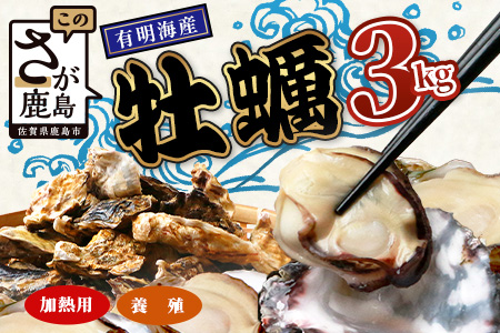 B-567 有明海産 養殖牡蠣 3kg 冬季限定｜殻付き生牡蠣｜加熱調理用｜新鮮 佐賀県産 カキ【レンジで簡単調理】お正月 夕食 おつまみ おかず 佐賀県 鹿島市