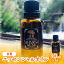 【ふるさと納税】甘夏エッセンシャルオイル（30ml×1本） 国産 アロマ 柑橘 エッセンシャルオイル オイル 気分転換 甘夏