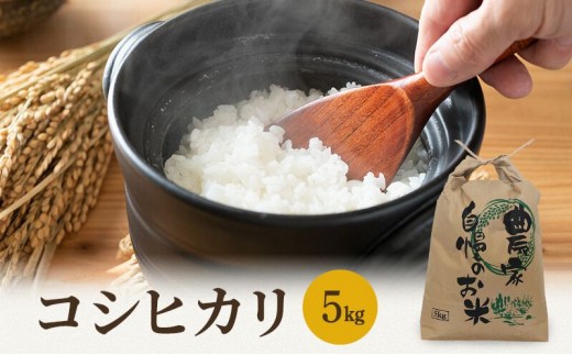 
                  【3月お届け】若狭町コシヒカリ5kg 米 お米 こしひかり 福井県 [№5580-1360]
                