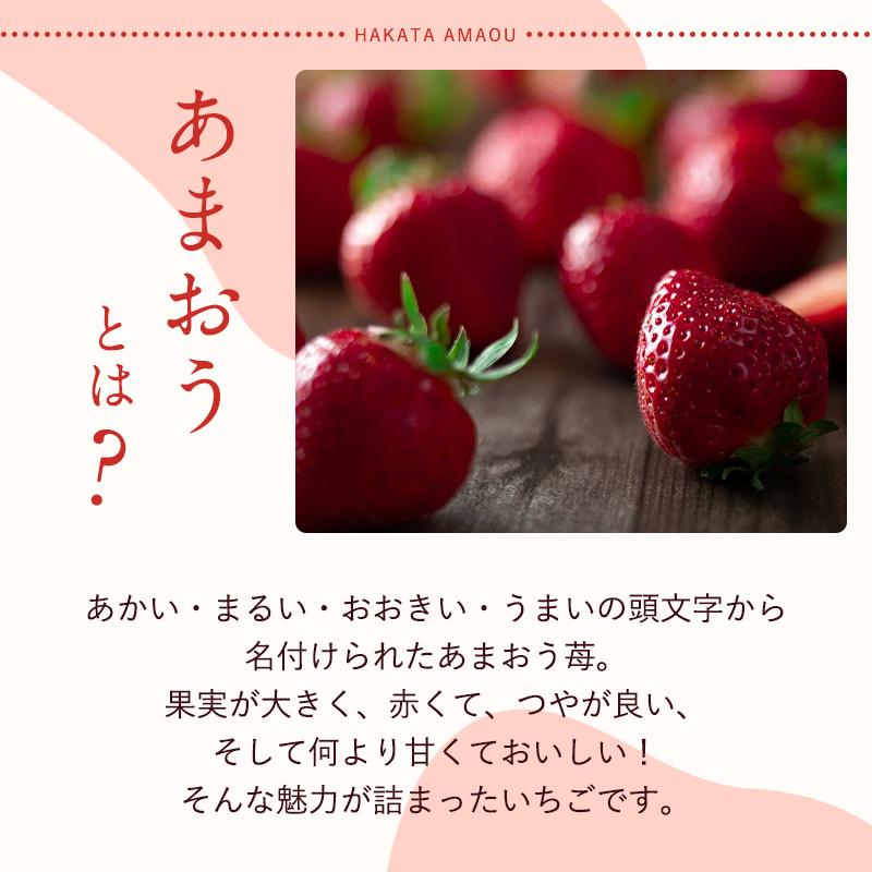 フルーツソムリエが選んだ 福岡県産春あまおう８パック※一部離島不可【1パックあたり250g】