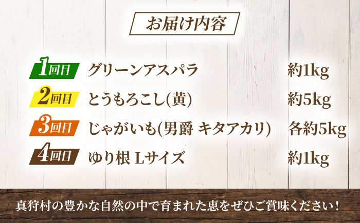 【全4回定期便】 まっかり四季の恵みセット ミニセット (アスパラ・とうもろこし・じゃがいも・ゆり根）| 野菜 野菜セット アスパラガス とうもろこし コーン ゆり根 じゃがいも 北海道 先行予約 | 道の駅 真狩フラワーセンター [BPAM046]