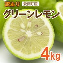 【ふるさと納税】訳あり レモン（グリーンレモン） 4kg 7000円 れもん 檸檬 フルーツ 果物 くだもの 柑橘 防腐剤 不使用 レモンサワー レモン果汁 炭酸水 ビタミンC クエン酸 疲労 回復 免疫力 向上 国産 皮ごと みかん 蜜柑 ミカン ひなたのみかん 愛媛県 愛南町