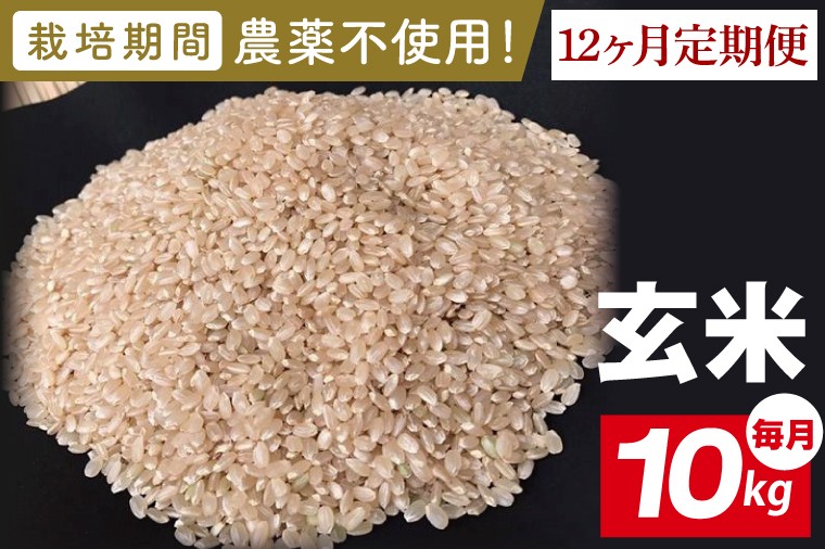 
                  【2026年9月中旬発送開始】【12ヶ月定期便】★栽培期間農薬不使用★茨城県産 R８年産 こしひかり玄米 10kg（BI-106）
                