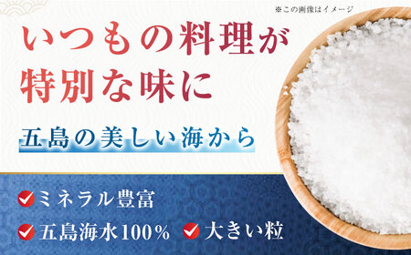 【全4回定期便】さとうのしお5袋×4回 海水 塩 ソルト 小分け ミネラル 五島市/さとうのしお窯 [PED003]