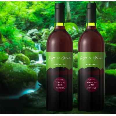 ふるさと納税 南魚沼市 エル・グリーン ファームの「やま庭のワイン」750ml×2本