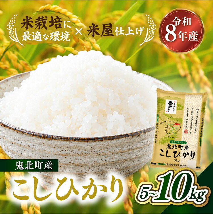 【ふるさと納税】＼選べる内容量／【先行予約】【令和8年産】鬼北町産 こしひかり 5kg・10kg（5kg×2袋）【米屋仕上げ】| R8年産 新米 精米 白米 ご飯 米 コシヒカリ お米のまつや 株式会社ドイ 愛媛県鬼北町 ※2026年9月～発送