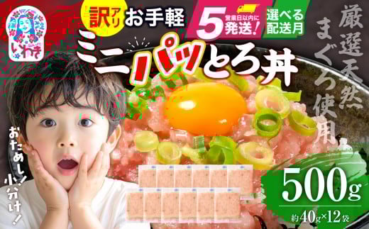 【2025年12月発送】ねぎとろ 約500g（約40g×12パック）小分け 冷凍 個包装 使い切りパック 1人前 まぐろたたき まぐろ