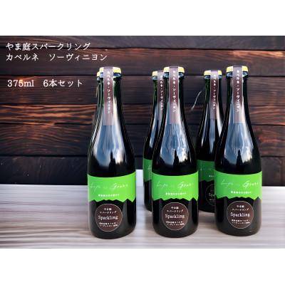 ふるさと納税 南魚沼市 【熟成の泡を日常に】南魚沼産カベルネ・スパークリング2021 ハーフ小瓶(375ml)6本セット