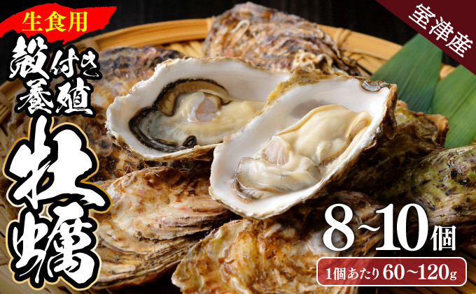 
                  【国産】殻付き牡蠣 旅する牡蠣 プレミアムオイスター 室津 8～10個入り 室戸海洋深層水 生食用 生食 生ガキ 生食用カキ カキ 牡蠣 かき 魚貝類 冷蔵 先行予約 10000円 1万円 送料無料 ak003
                