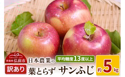 りんご 【先行受付】平均糖度13度以上！ 葉とらずサンふじ 約5kg 訳あり