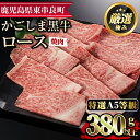 【ふるさと納税】＜特選A5等級＞鹿児島県産黒毛和牛ロース焼肉用(380g) 国産 牛肉 肉 冷凍 ロース 鹿児島 焼肉 BBQ バーベキュー【デリカフーズ】【17476】