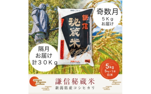 令和7年産 新潟県産 コシヒカリ 定期便 奇数月発送（5kg×6回分） 謙信秘蔵米 真空 窒素挿入 冬眠パック 精白米 お米 上越市 上越産 上越米 上杉謙信