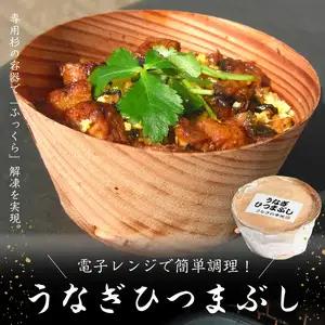 うなぎひつまぶし E07005