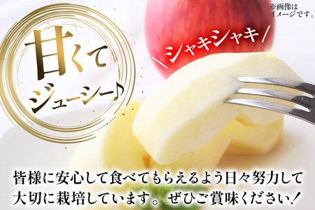 りんご 葉とらず サンふじ 約10kg カワムラファーム 贈答用 青森 果物 フルーツ 林檎 リンゴ くだもの
