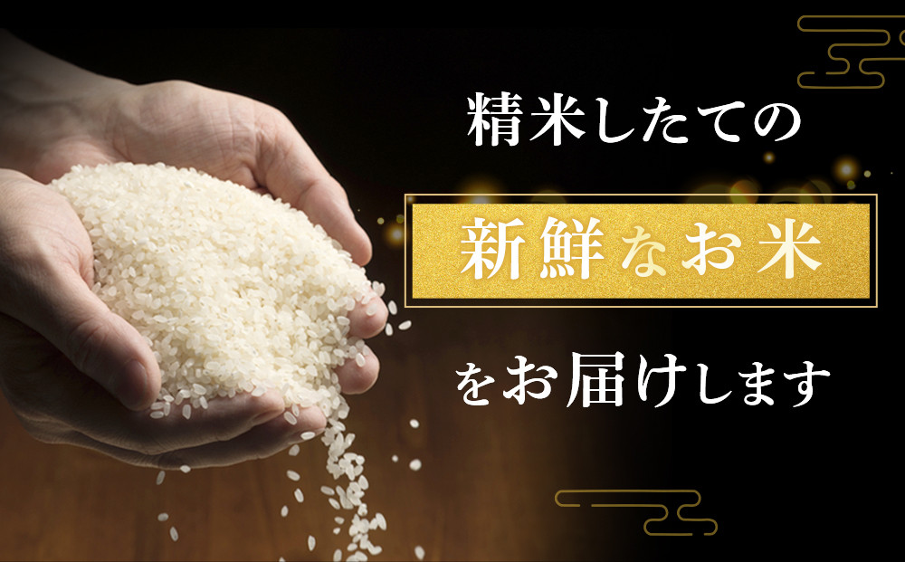 ふくしえんのおこめ（ななつぼし）5kg×2  【 特A 白米 精米 ご飯 ごはん 米 お米 ななつぼし 旭川市ふるさと納税 北海道ふるさと納税 旭川市 北海道 】_01890