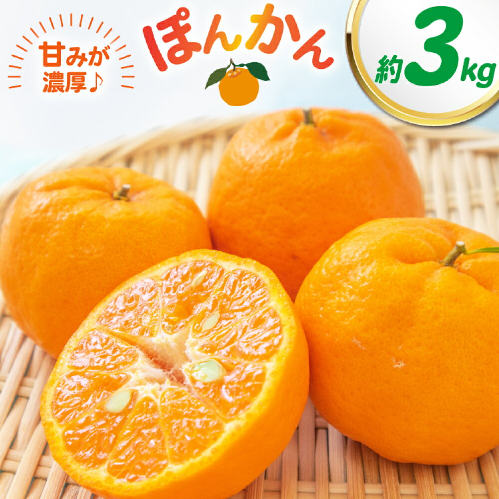 【ふるさと納税】先行予約 ポンカン 約3kg（3L～M）ぽんかん 柑橘 果物 くだもの フルーツ 3キロ 国産 九州 長崎県 長崎市 送料無料【2026年2月上旬～3月下旬発送予定】