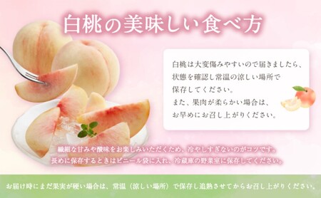 フルーツ 定期便 【2027年 先行予約】 晴れの国 おかやま の 白桃 2kg(5玉～7玉) シャインマスカット 2房 合計1.4kg以上 岡山県産 国産 セット ギフト