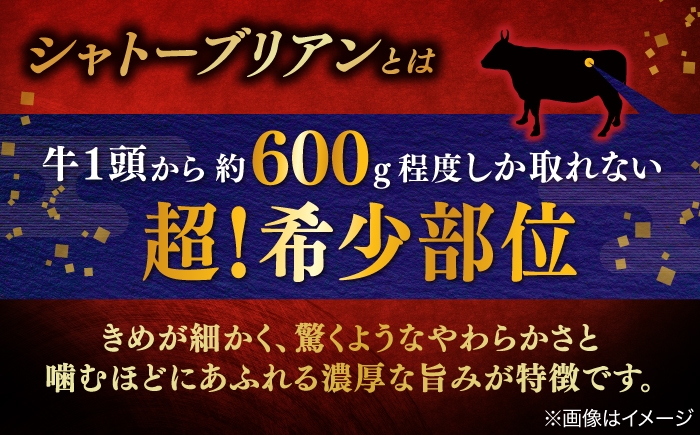  牛肉 ヒレ・シャトーブリアン ヒレ フィレ 赤身 赤身肉 しまね和牛 精肉 肉 定期便 定期 冷凍 送料無料