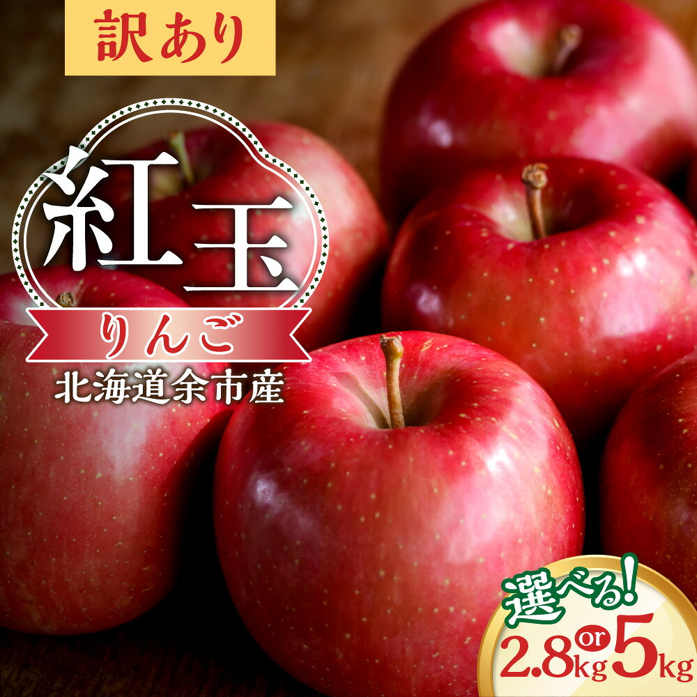 【ふるさと納税】【先行予約 2026年10月中旬より発送】訳アリ りんご（紅玉）2.8kg or 5kg【北海道余市町産】 北海道産 りんご予約 北海道りんご 酸味 爽やか 芳香 多汁 調理用 加工用 アップルパイ タルト ジャム コンポート サラダ 秋の味覚 北海道 余市町 送料無料