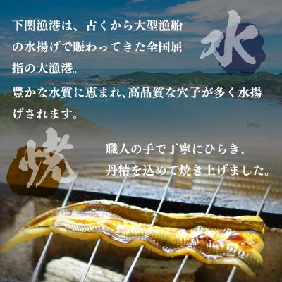 ふるさと納税 下関市 あなごめし 385g × 2個セット HF001