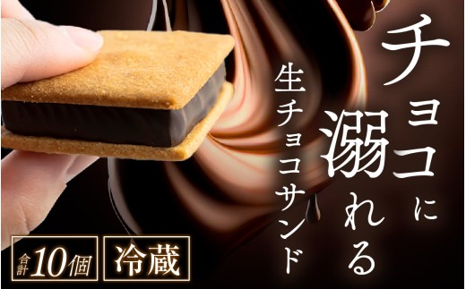 【山奥チョコレート 日和】 生チョコサンド 10個入 [A-026001] / チョコレート 老舗 焼菓子 焼き菓子 洋菓子 チョコレート デザート スイーツ クッキー カカオ 詰合せ 詰め合わせ チョコ チョコレート ちょこれーと お菓子 菓子 クッキーサンド チョコ菓子 チョコレート バレンタイン ホワイトデー