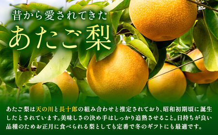 【先行予約】梨 あたご梨 2玉 約1.6kg 株式会社藍《2026年11月中旬-12月上旬頃出荷》岡山県 浅口市 岡山県産 なし フルーツ 果物 くだもの ナシ 大玉 送料無料