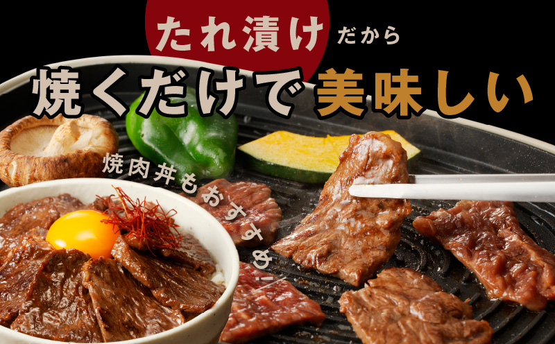 【お試し】牛ハラミ肉 500g 薄切り スライス 小分け 訳あり サイズ不揃い 秘伝の赤タレ漬け 焼肉 牛肉 005A760