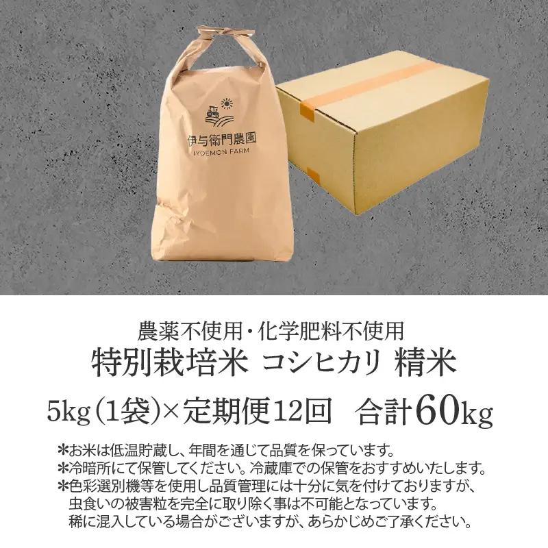 【先行予約】【令和8年産 新米】《定期便12回》伊与衛門農園のコシヒカリ 精米 5kg （計60kg）特別栽培米 化学肥料不使用 ＜温度と湿度を常時管理し新鮮米を出荷！＞／ 高品質 鮮度抜群 福井県あ