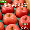 【ふるさと納税】山形のサンふじりんご 約10kg 秀品(24～40玉) fz19-140 リンゴ 林檎 フルーツ 果物 お取り寄せ 送料無料