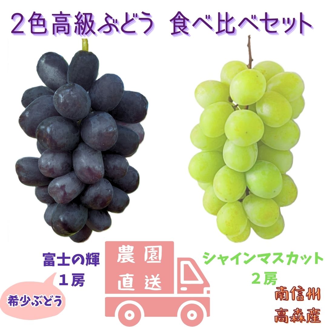 【ふるさと納税】【数量限定】2色高級ぶどう(シャインマスカット、富士の輝)食べ比べセット【配送不可地域：離島】