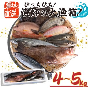 【 海鮮 】 鮮魚BOX お任せ海鮮 4kg以上