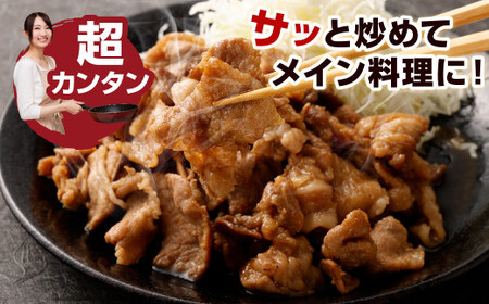 【3ヶ月定期便】 九州産豚 タレ漬け 合計3kg 500g×6袋×3回