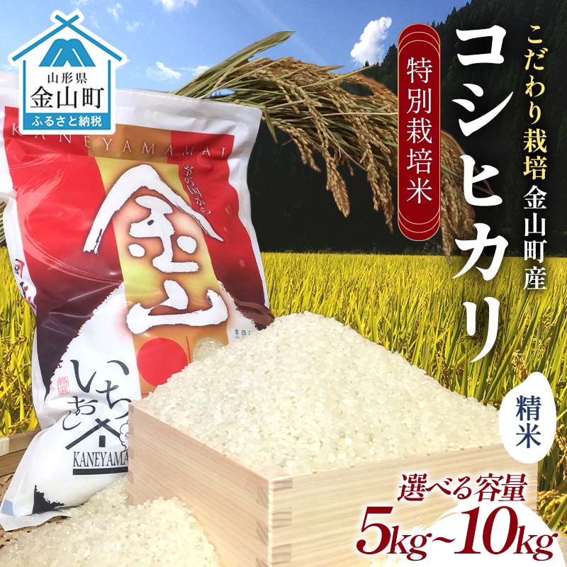 【ふるさと納税】【令和7年度産・数量限定】＼選べる容量／ 特別栽培米 コシヒカリ精米5kg・5kg×2・2kg×5 米 お米 ご飯 ブランド米 F4B-0759var