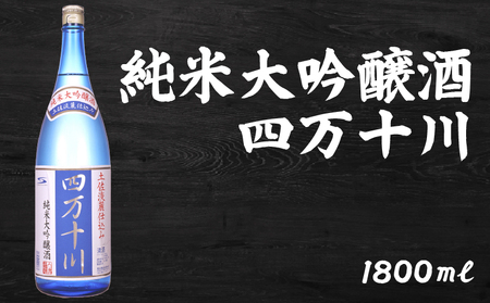 日本酒  純米大吟醸 四万十川 1800ml×1本 純米大吟醸 高知県 安芸市