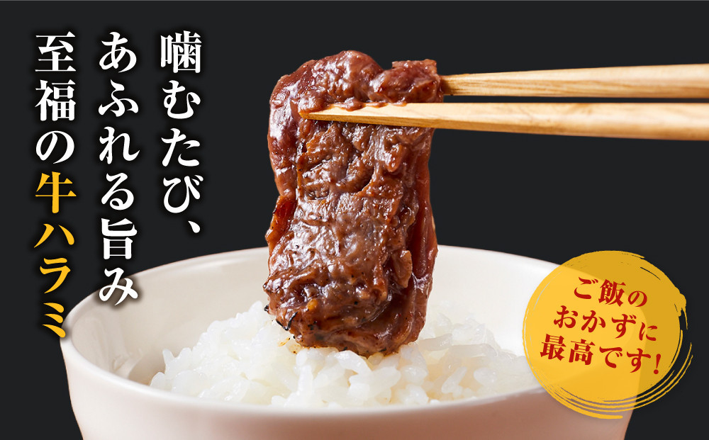 ＜訳あり＞牛ハラミ　特製たれ漬　0.6kg【6月発送】