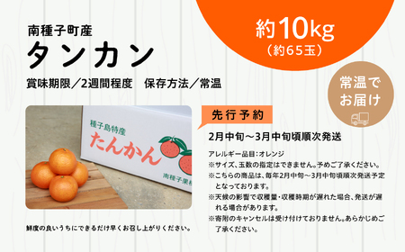 《 先行予約 》 【2025年2月中旬～3月中旬頃順次発送】種子島産タンカン約10kg （約65玉）【南種子町果樹部会】