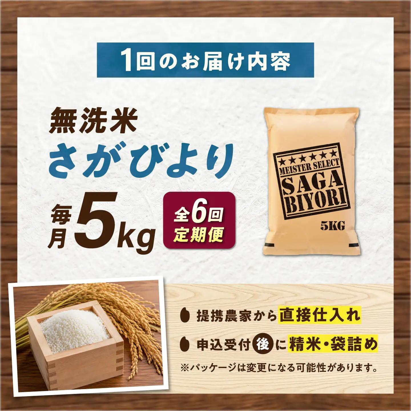 【6回定期便】 無洗米 さがびより 5kg（5kg×1袋） 無洗米 お米 白米 精米 佐賀県産 米 /大塚米穀店[UFE003]