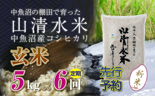 【ふるさと納税】【定期便／全6回】玄米5kg　新潟県魚沼産コシヒカリ「山清水米」十日町市 米　お届け：寄附入金確認後、順次発送します。