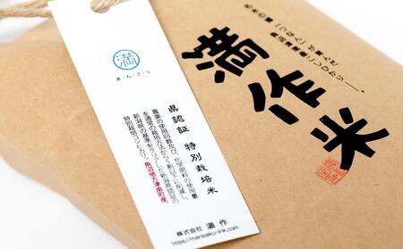 【2025年産 】県認証米魚沼産コシヒカリ 10kg(10kg×1袋) 産地限定！農家直送 |津南町 魚沼産 コシヒカリ